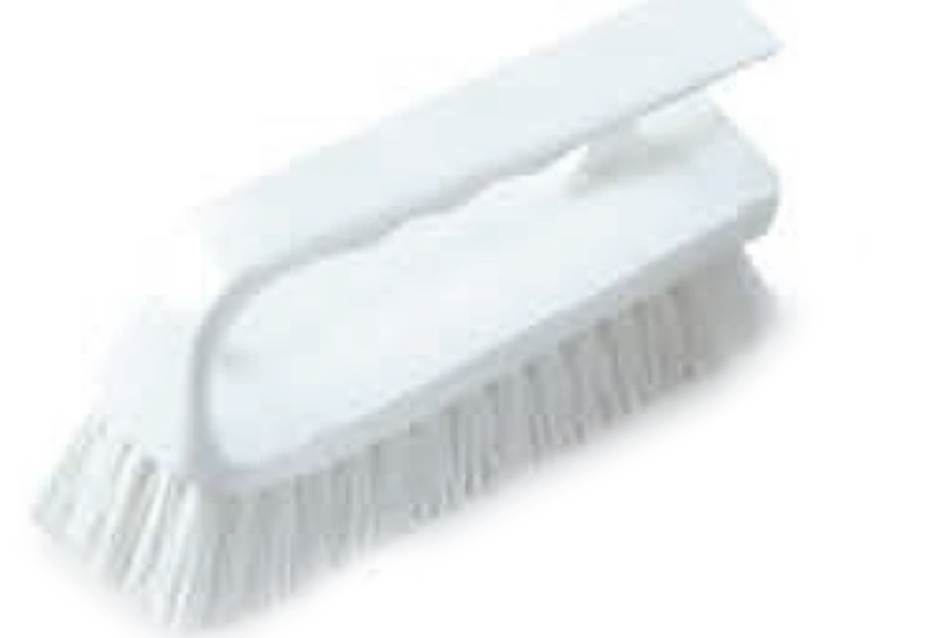 Pentair Rainbow Mini Scrub Brush 652 - R111566