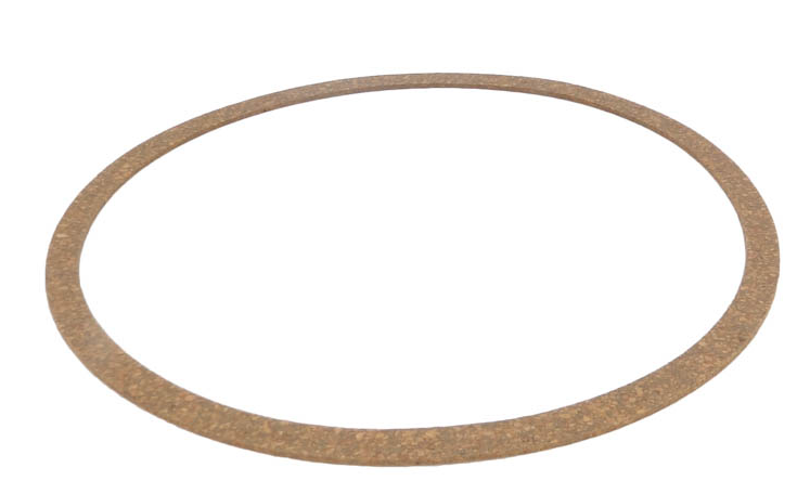 Sta-Rite Body Gasket - C20-77C