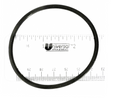 Hayward Micro Clear DE Pool Filter Bulkhead O Ring - SX200Z3