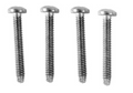 Hayward Stainless Steel Main Drain Screw - WGX1030Z3