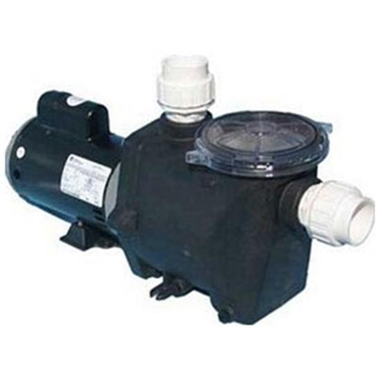 Advantage Quiet Flo In-Ground Pool Pump 1 HP