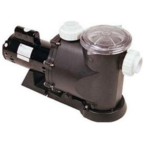 Advantage Quiet Flo Plus In-Ground Pool Pump 1 1/2 HP