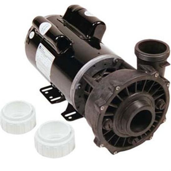 Advantage Waterway Spa Pump 1 1/2 HP 2 Speed 230v