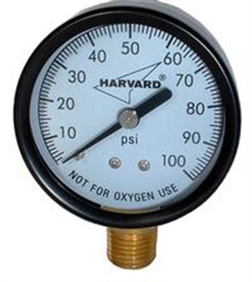 American Granby .25" MPT Lower Pressure Gauge - Plastic Case