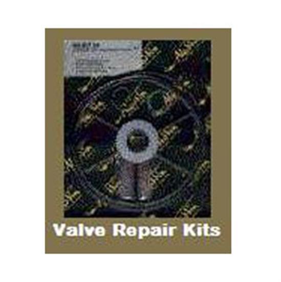 American Pentair Multiport Valve Repair Kit