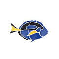 Artistry In Mosaics Aquatic Line Small Blue Regal Tang Mosaic Tile