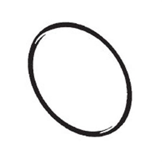 Astral Strainer Lid O-Ring