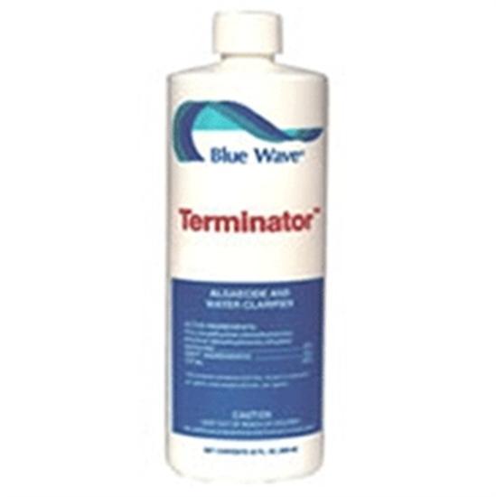 Blue Wave Eliminator -  Algaecide for vinyl liner - 1 qt.