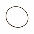 Hayward Sand Filter Valve-Tank O-Ring