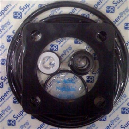 Go Kit Rebuild Kit for Sta Rite Max-E-Glas and Dura-Glas Pumps