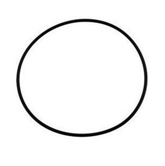 Hayward 1.5" Vari-Flo Valve Cover O-Ring SP710