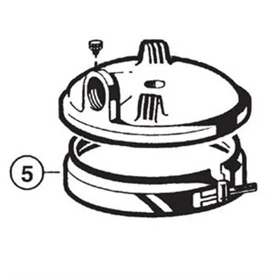Hayward Clamp Assmembly With Spring