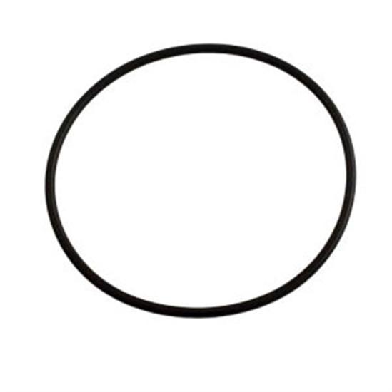 Hayward Cover O-Ring