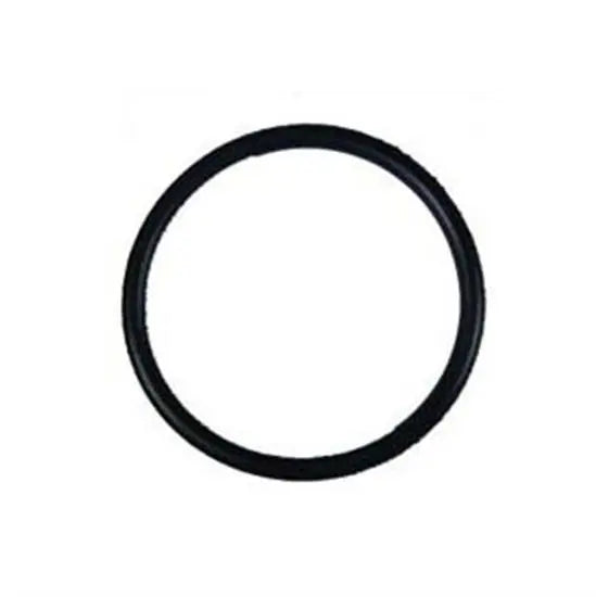 Hayward Diffuser Gasket