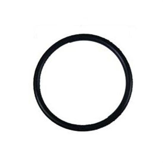 Hayward Diffuser Gasket