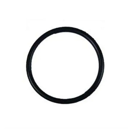 Hayward Diffuser Gasket
