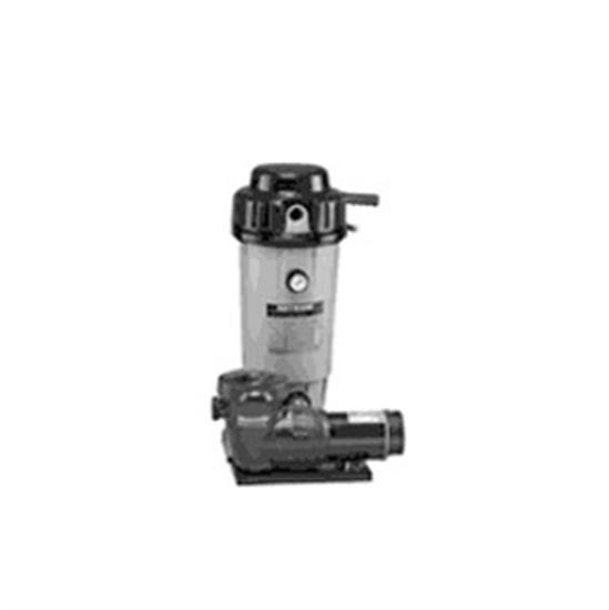 Hayward EC30 ABG DE Filter System With Hose