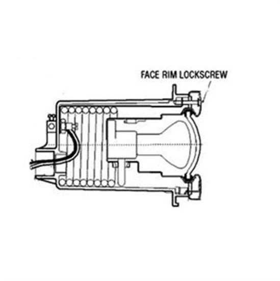 Hayward Face Rim Lockscrew with Fastener