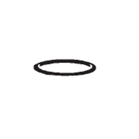 Hayward Filter Cover O-Ring