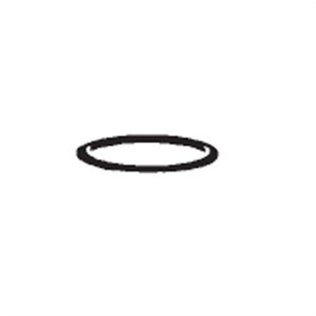 Hayward Filter Cover O-Ring