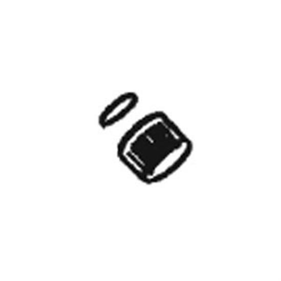 Hayward Filter Drain Cap w-Gasket