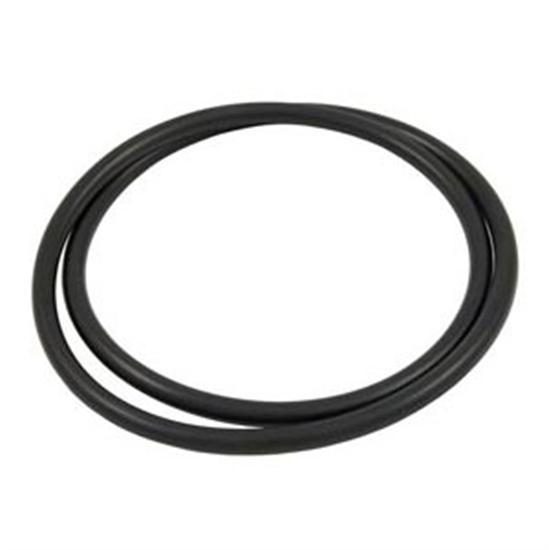 Hayward Filter Head O-Ring
