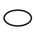 Hayward H-series Flange O-Rings
