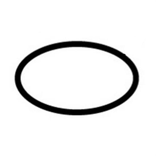 Hayward H-series Flange O-Rings