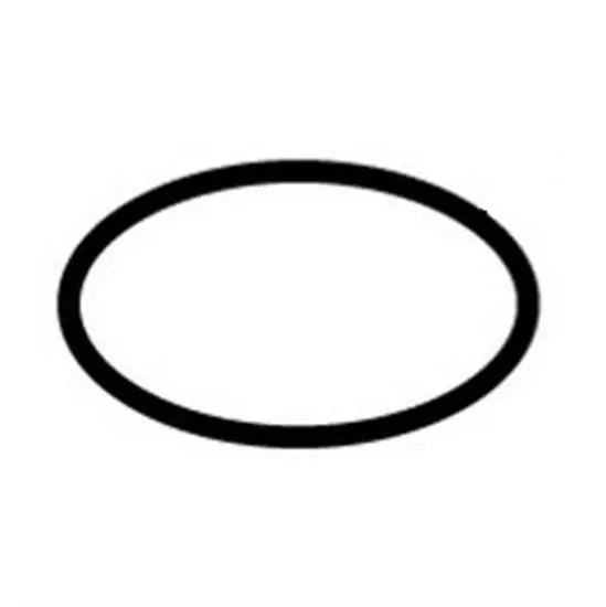 Hayward H-series Flange O-Rings