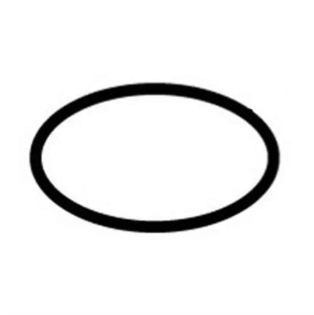 Hayward H-series Flange O-Rings
