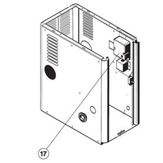 Hayward Ignition Module