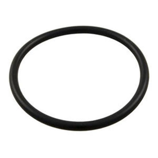 Hayward Inlet Flooring O-Ring