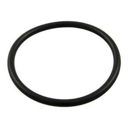 Hayward Inlet Flooring O-Ring
