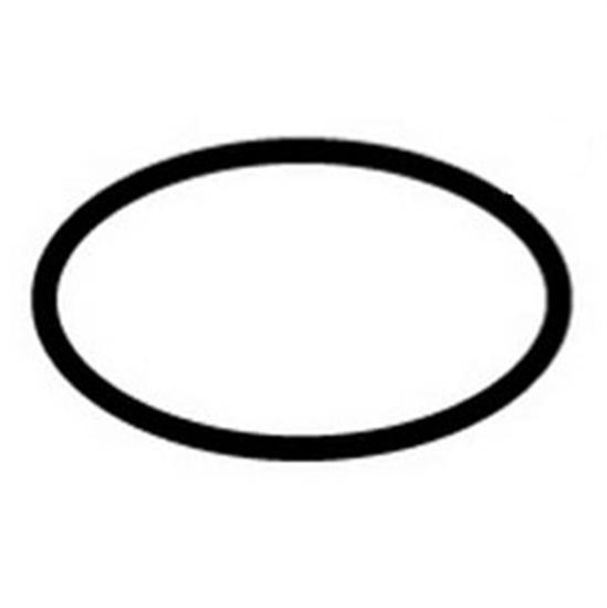 Hayward Micro-clear Outlet Elbow O-Ring