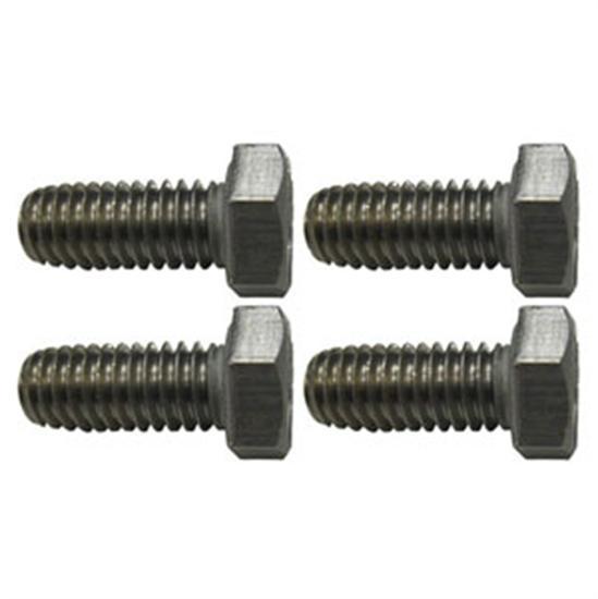 Hayward Motor Cap Screw Set Of 4
