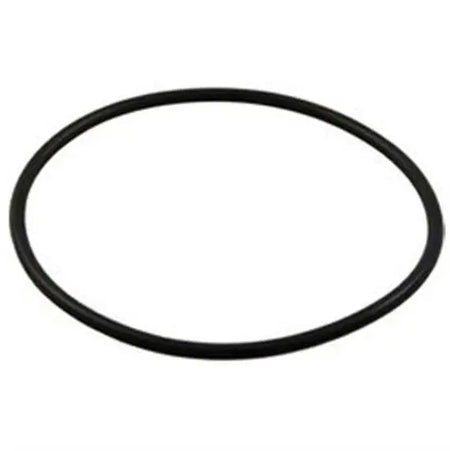 Hayward Multiport SPX735GA Valve O-Ring