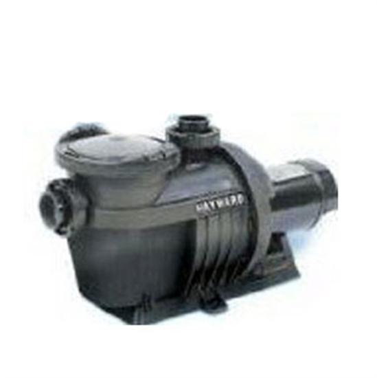 Hayward NorthStar 2HP 2-Speed Energy Efficient Pool Pump