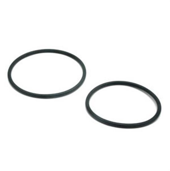 Hayward O-RING 2 Set