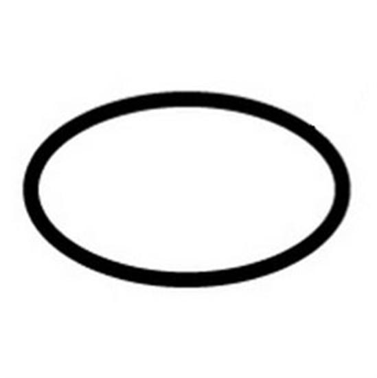 Hayward O-Ring For Gauge Adapter