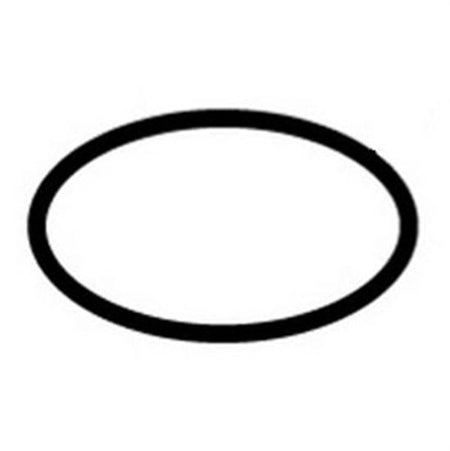 Hayward O-Ring For Gauge Adapter