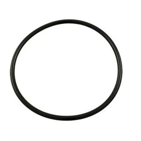 Hayward O-Ring Kit