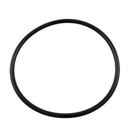 Hayward O-Ring Kit
