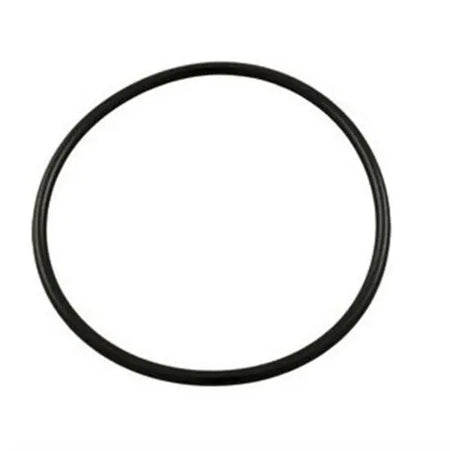 Hayward O-Ring Kit
