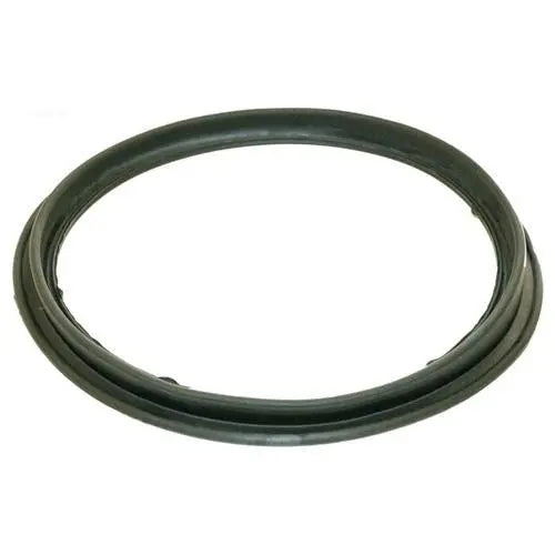 Hayward Perflex DE Filter Diaphragm Gasket
