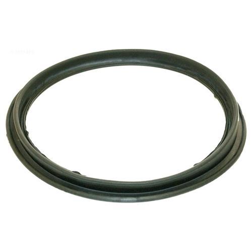 Hayward Perflex DE Filter Diaphragm Gasket