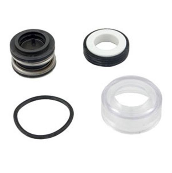 Hayward Power Flo Seal Assembly