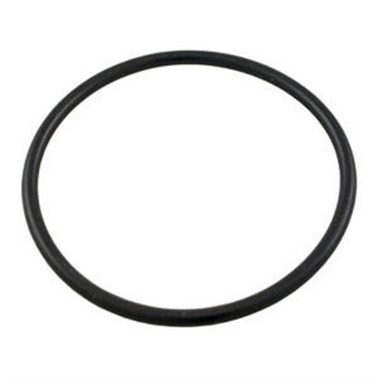 Hayward Power Flo Strainer O-Ring