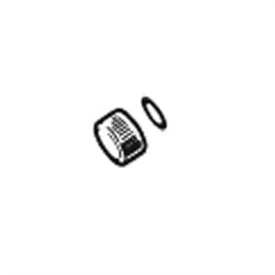 Hayward Sand Filter Drain Cap and Gasket S200