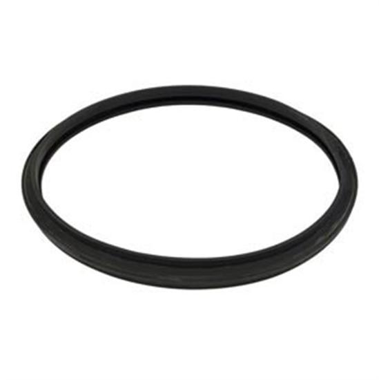 Hayward Star-Clear Filter Dome O-Ring