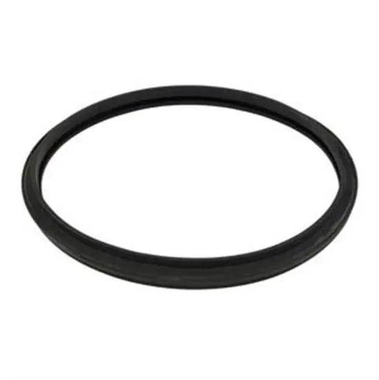 Hayward Star-Clear Filter Dome O-Ring